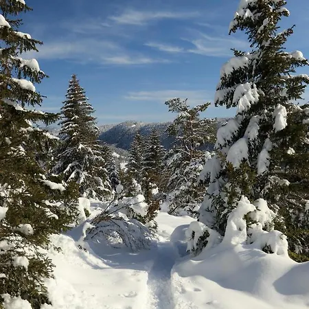 Au Coeur De Prémanon